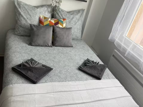 Alsace Location - Appartement Saint-Louis - Basler galerie 1