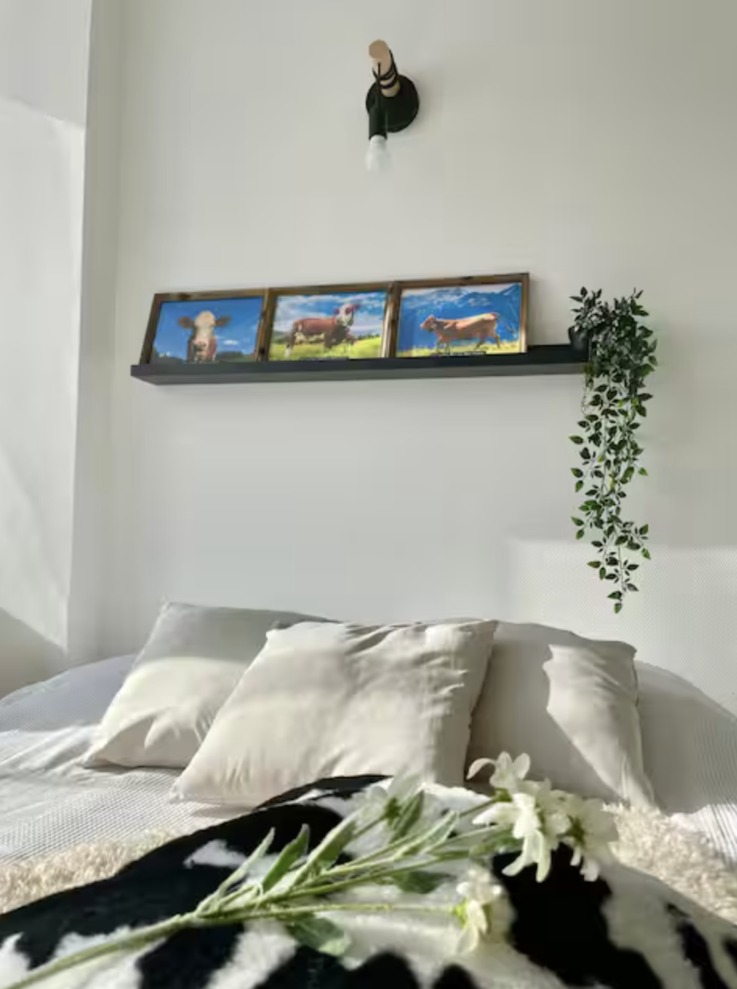 Alsace Location - Appartement Saint-Louis - La Mascotte 2