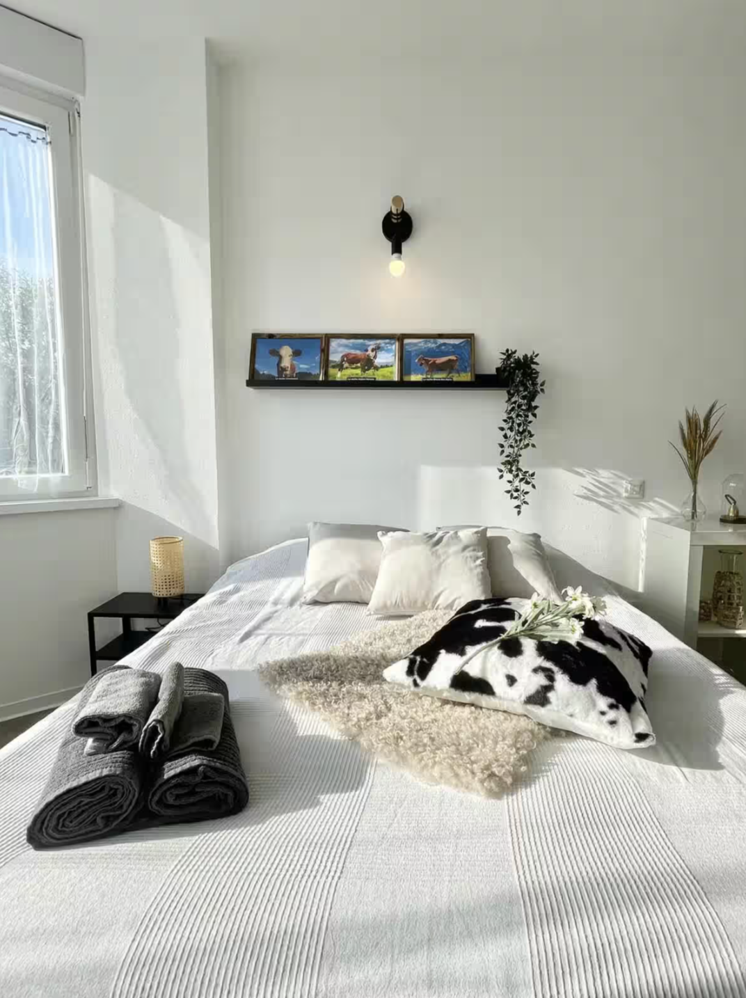 Alsace Location - Appartement Saint-Louis - La Mascotte 5